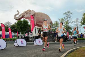 BIB: 
                            <button type="button" onclick="openModal(26528983)" class="btn btn-primary btn-sm float-right btn-popup" data-toggle="modal" data-target=".modal-high-quality">
                        <i class="fas fa-shopping-cart"></i> Add to Cart
                    </button>
                                            <button type="button" onclick="isThisMe(26528983, true)" class="btn btn-success btn-sm float-right btn-popup btn-isme hidden" data-toggle="tooltip" data-placement="bottom" title="นี่คือรูปของคุณใช่ไหม คลิกที่นี่เพื่อเอาเข้าอัลบั้ม">
                        <i class="fas fa-plus"></i> Add to album
                    </button>
                    <button type="button" onclick="isThisMe(26528983, false)" class="btn btn-warning btn-sm float-right btn-popup btn-isnotme hidden">
                        <i class="fas fa-ban"></i> Remove from album
                    </button>